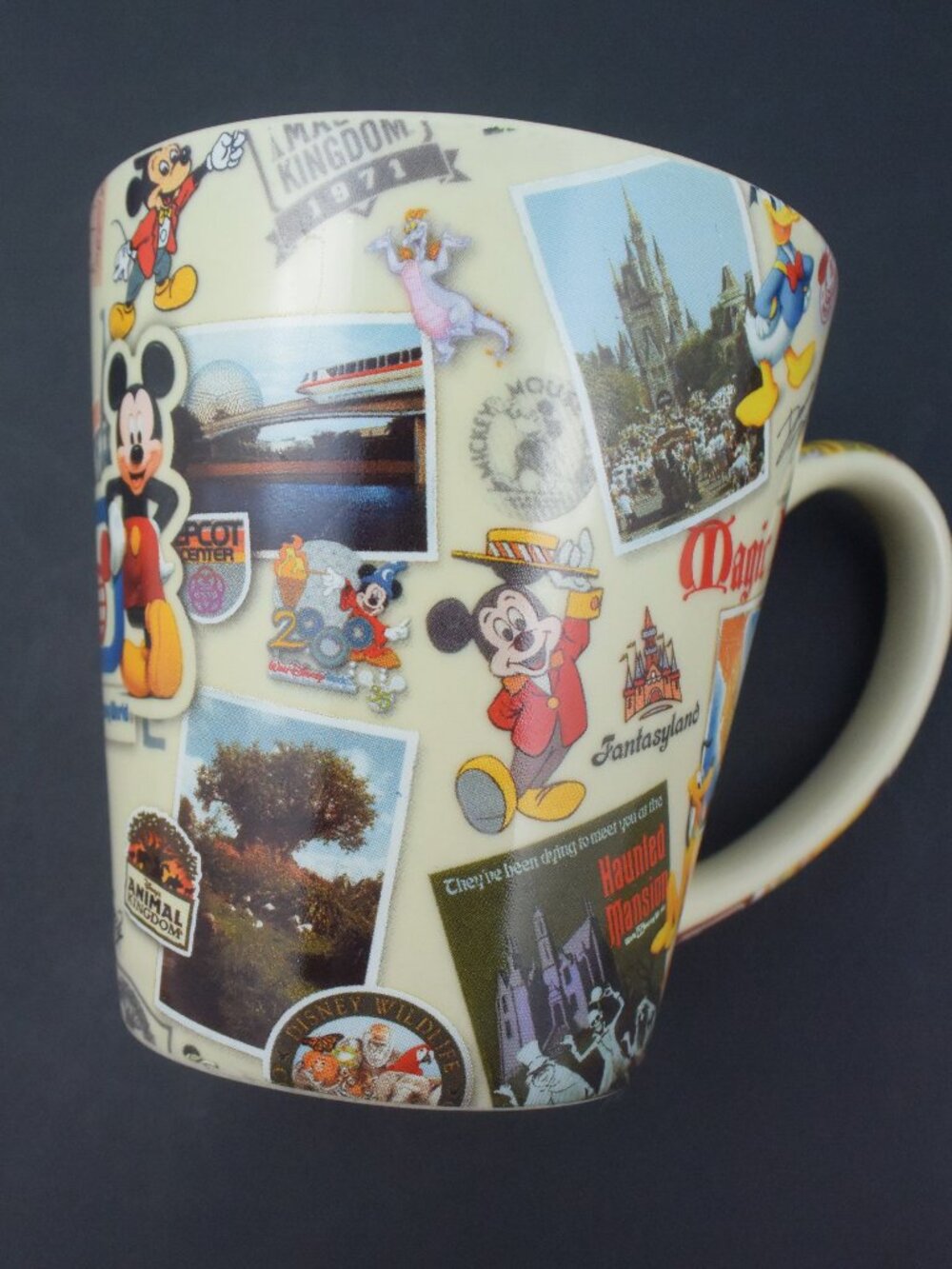 Disney Parks 40th Anniversary Magic Kingdom Mug